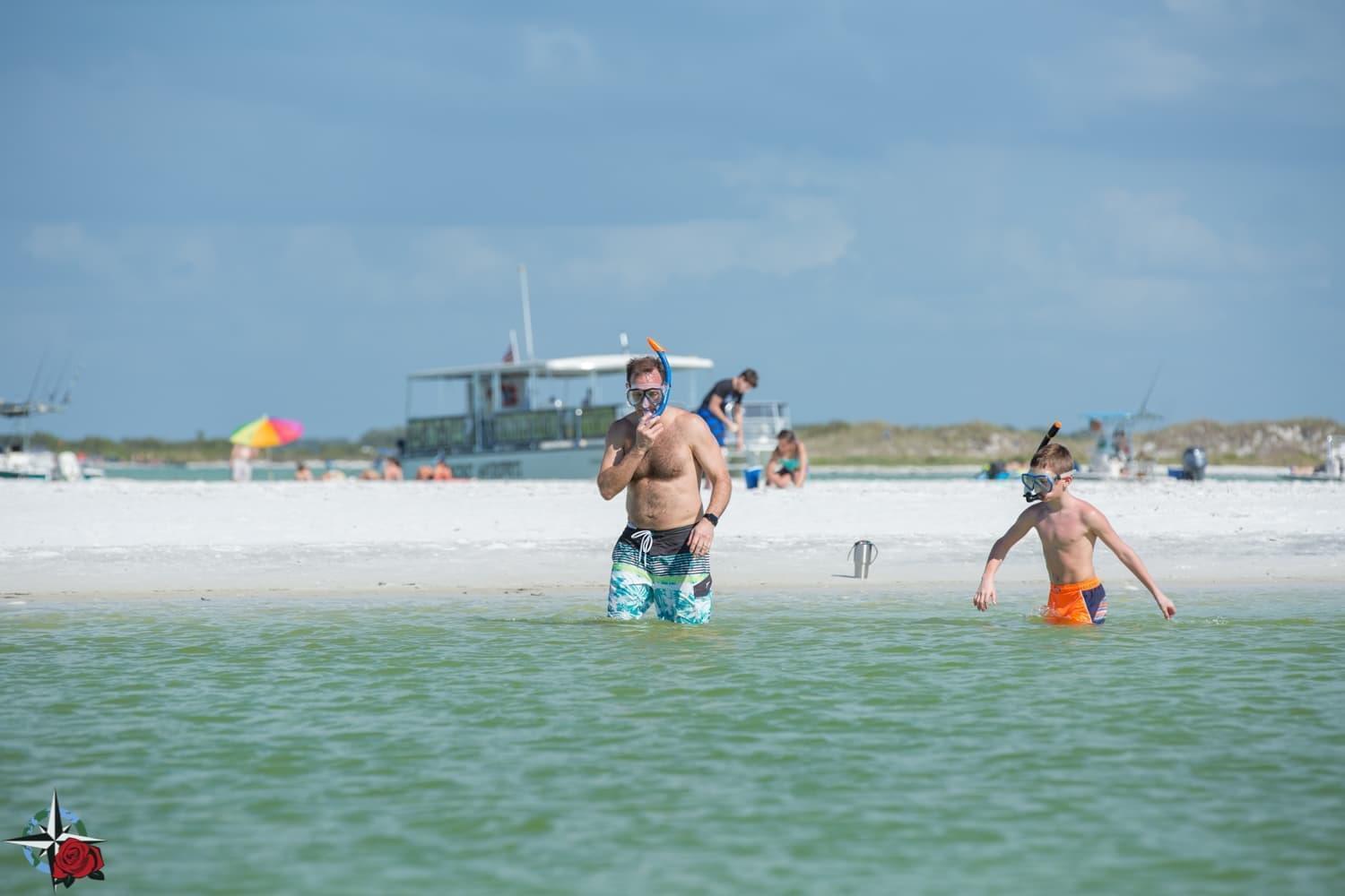 Sand Dollar Island Dolphin Tour Suncoast Watersports